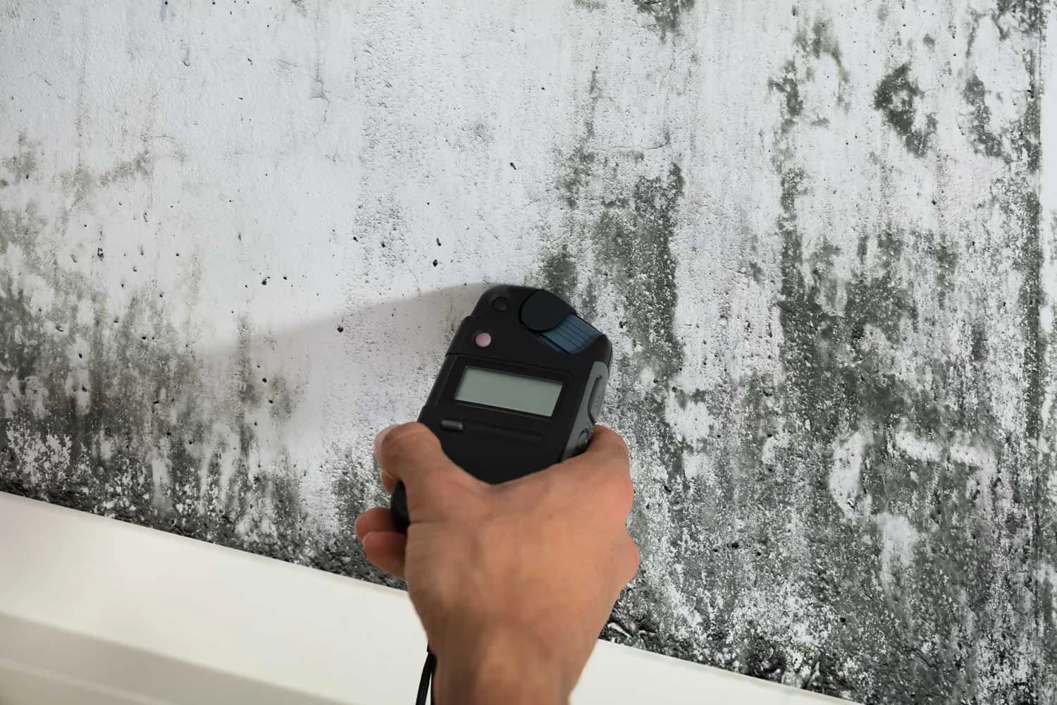Handheld meter checking a wall with visible discoloration